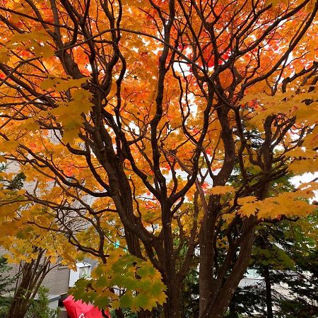 Hdo Sumikawa Villa Sapporo Dış mekan fotoğraf
