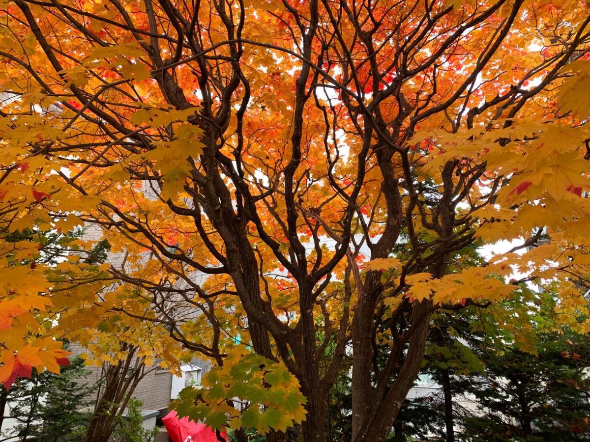 Hdo Sumikawa Villa Sapporo Dış mekan fotoğraf